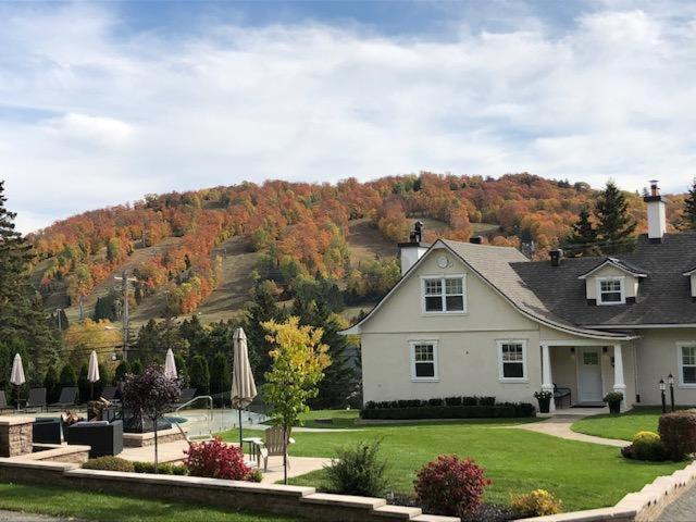 Auberge Sous L'Edredon B&B Saint-Sauveur-des-Monts Esterno foto